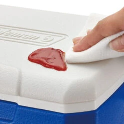 Coleman Performance 5QT Personal Cooler -Camping Sales Shop k46f35c6c2c6dd2c6e9c46849a7f097f7