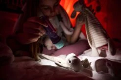 Ledlenser KidBEAM4 LED Hand Torch (Purple) -Camping Sales Shop k59e29570618b7729d370bdca435a3048