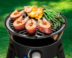 Cadac BBQ Grid 30 -Camping Sales Shop k99ed97a2ecfce9685eca27d9856eb126