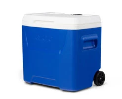 IGLOO Laguna 28QT Wheeled Cool Box Blue 7 IGLOO Laguna 28QT Wheeled Cool Box Blue -Camping Sales Shop ka1ef123c4d1598c12934a9c0f692bdf2