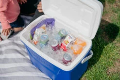 IGLOO Laguna 28QT Cool Box Red -Camping Sales Shop kb309529a331bee3c9613a50999a7df51